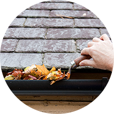 Gutter Cleaning